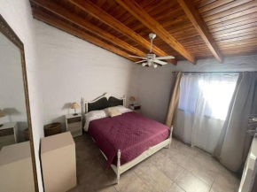 Cómodo departamento de huéspedes con cochera